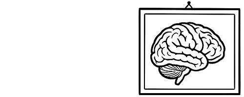 online cursus,meditatie,brein,neurowetenschap,Charlotte Oomen,aandacht,stress,emphatie,waarneming,compassie